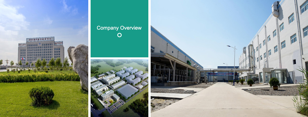 Cangzhou Wisdom Pharma Co., Ltd.